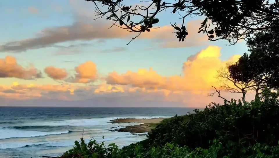 Beachfront view from Cycasia Lodge, a self-catering accommodation in Umzumbe, KZN South Coast